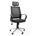 Pars Fileli Çalışma Koltuğu