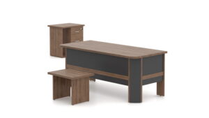 Roze Çalışma Masa Takımı - Görsel 2