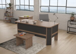 Roze Çalışma Masa Takımı