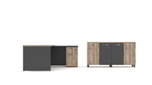 Zebra Çalışma Masa Takımı - Görsel 2