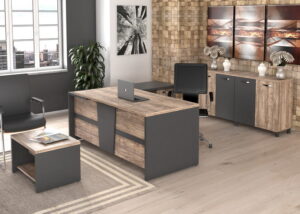 Zebra Çalışma Masa Takımı