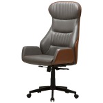 Regno Yönetici Koltuğu